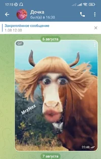 Screenshot_2025-08-07-17-15-00-408_org.telegram.messenger~01.webp