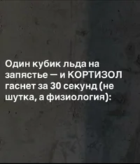Screenshot_2025-08-16-19-53-36-138_com.vkontakte.android-edit.webp
