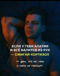 Screenshot_2025-07-30-16-48-07-053_com.vkontakte.android-edit.webp