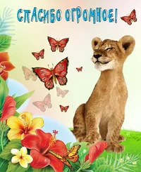 i (62).webp i (62).webp