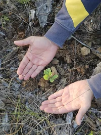 IMG-20250823-WA0051.webp