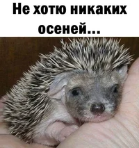 IMG-20250903-WA0000.webp