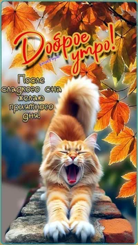 1344144753439cb8b20f819b1a92241e.webp