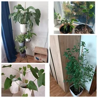 WhatsApp Image 2025-09-30 at 10.58.37.webp