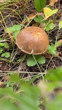 WhatsApp Image 2025-10-01 at 21.13.13.webp