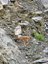 WhatsApp Image 2025-10-02 at 09.04.13.webp