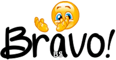 bravo-great-job.gif