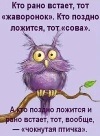 1710408d187367c35e37b74852188795.webp 1710408d187367c35e37b74852188795.webp