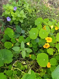 IMG_20251009_133611.webp