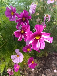 IMG_20251009_133621.webp