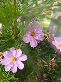IMG_20251009_133637.webp