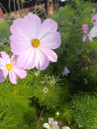IMG_20251009_133647.webp