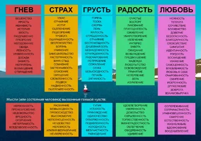 Дневник эиоций.webp