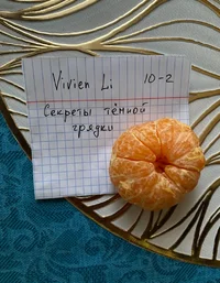 IMG_3400.webp IMG_3400.webp