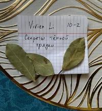 IMG_3404.webp IMG_3404.webp