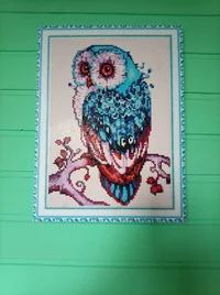 IMG_20251108_135003.webp IMG_20251108_135003.webp