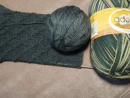 IMG_20251110_102752.webp IMG_20251110_102752.webp