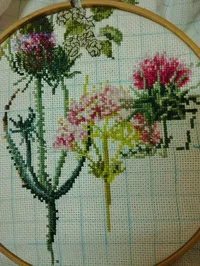 IMG_20251109_182615.webp IMG_20251109_182615.webp