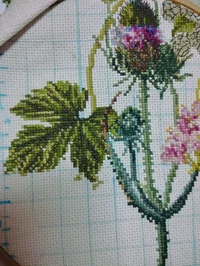 IMG_20251116_193209.webp IMG_20251116_193209.webp