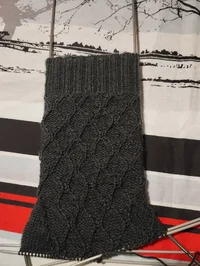 IMG_20251109_225935.webp IMG_20251109_225935.webp