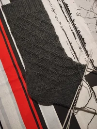 IMG_20251116_222914.webp IMG_20251116_222914.webp