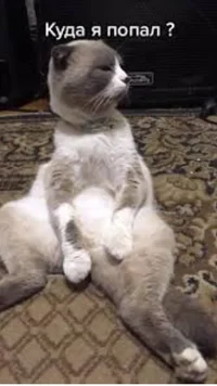 Screenshot_20251125_195928_com_android_chrome_ChromeTabbedActivity.webp Screenshot_20251125_195928_com_android_chrome_ChromeTabbedActivity.webp