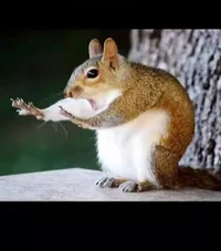 IMG_3443.webp IMG_3443.webp