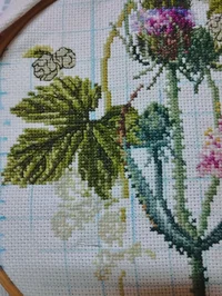 IMG_20251206_072704.webp IMG_20251206_072704.webp