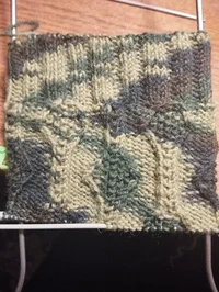 IMG_20251207_223729.webp IMG_20251207_223729.webp