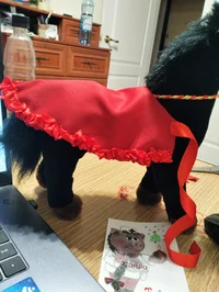 1000063637.webp 1000063637.webp