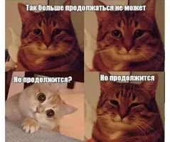 IMG_5993.webp IMG_5993.webp