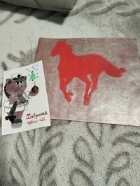 1000063645.webp 1000063645.webp