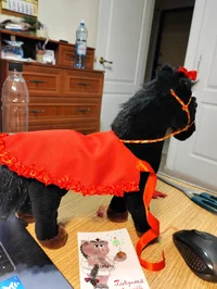 1000063636.webp 1000063636.webp