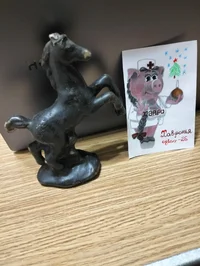 1000063648.webp 1000063648.webp