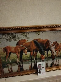 1000063647.webp 1000063647.webp