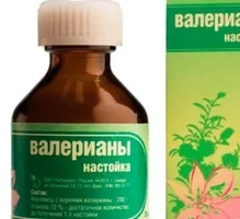 7922488.webp