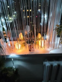 1000063672.webp 1000063672.webp