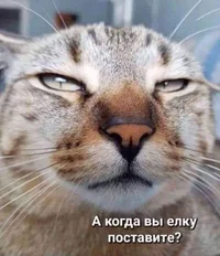 IMG_20251125_074218_637.webp IMG_20251125_074218_637.webp