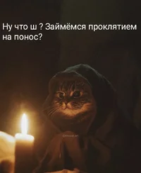 IMG_3618.webp IMG_3618.webp