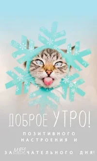 40836f6bcb9369089d660089ae214f8c.webp