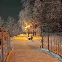1000028293.webp