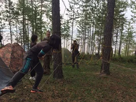 image.webp image.webp