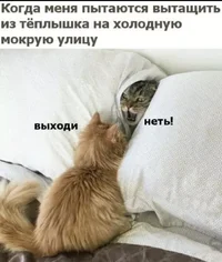 IMG_3640.webp IMG_3640.webp