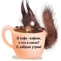 dobroe-utro-kartinki_ru_5748.webp