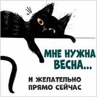 982cfeef3a7adec463534a7f3ce72900.webp