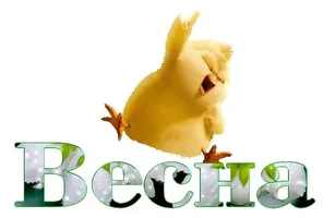 68d6f63c6a1b57b7b9786f1560lk.webp