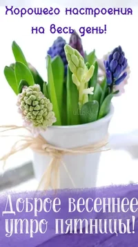 cc17a1c124bd1cf0ba52ccc4cad018cb.webp
