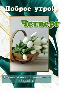 593984213866740eab321dec53f0be24.webp