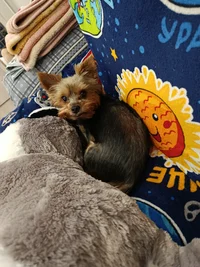 IMG_20251230_180447.webp