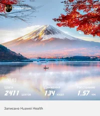 sporthealth-1-20260330-212218.webp